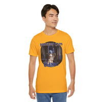 Load image into Gallery viewer, Dungeon Cats: Cleric Unisex Jersey Short Sleeve Tee
