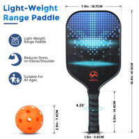 Load image into Gallery viewer, Pickleball Paddle Set
